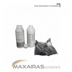 Eolys DPX42 for Peugeot - Citroen | MAXAIRASautoparts